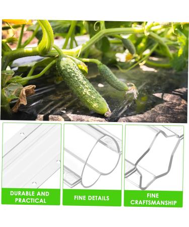 INOOMP 4pcs Shaped Growth Mold Cucumber Shaper Fruit Cucumber Shaping Molds Cucumber Growth Molds Cookie Molds Heart Chocolate Mold Cucumber Mold Plastic Container Watermelon As Shown medium - Buy Online on GoSupps.com