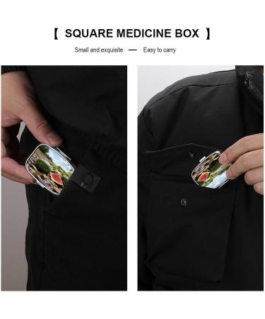 Watermelon Print Pill Box | 2 Compartment Portable Medicine Organizer | Decorative Metal Pill Case for Pocket & Purse - Buy Online on GoSupps.com