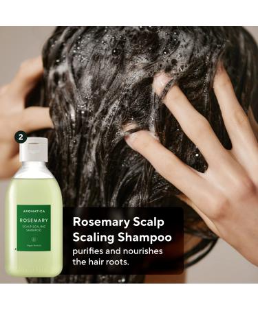 AROMATICA Rosemary Scalp Scaling Trial Kit with Mini Wooden Hair Brush - Clearer, Dandruff-Free Hair - Plant-Based Vegan Shampoo - 3.38 fl. oz Shampoo + 1.01 fl. oz Root Enhancer & Scalp Scrub - Buy Online on GoSupps.com
