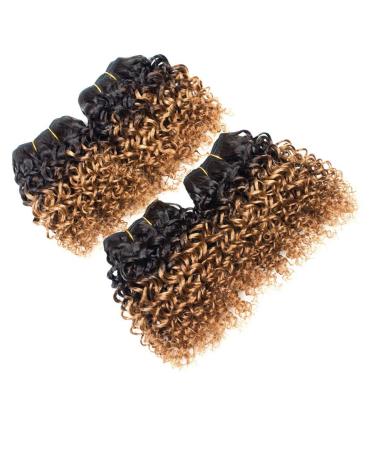 Kinky Curly Brazilian Virgin Human Hair Bundles - Ombre Short Curly Hair Extensions - 8 Inch (Pack of 4) 1B/30 - Buy Online on GoSupps.com