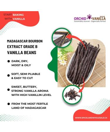 Madagascar Extract Grade-B Bourbon Vanilla Beans For Extract Making By Count (25 Beans (Pack of 1)) - Buy Online on GoSupps.com