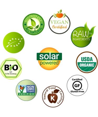 Organic Vegan Protein Bars - 22g of Protein Perfect On-The-Go Snack (Pack of 12 - Buy Online on GoSupps.com