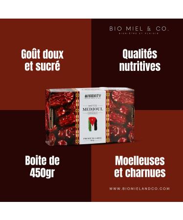 Large Dates Medjoul Fondantes de JORDAN 450g -NADATY - Tasty and Fleshy - Buy Online on GoSupps.com