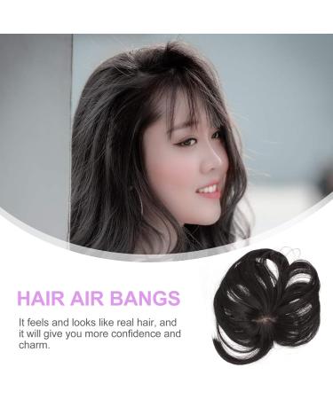 Minkissy 1pc Wig Air Bangs Hair Two Side Bangs Hair Extensions Bang Clip in Bangs Real Human French Barrette Hair Clips Tops for Women Straight High Temperature Wire Miss Real Person Black - Buy Online on GoSupps.com