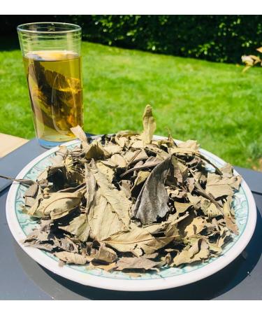 Generic Premium Kinkeliba Leaves 100% Sun Dried Organic Combretum Micranthum 60g - Buy Online on GoSupps.com