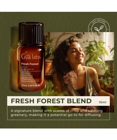 Fresh Forest Essential Oil Blend Diffuser & Mindful Meditation for Diffuser Set - Essential Oils Set - 2x0.34 fl oz - Gya Labs - Buy Online on GoSupps.com