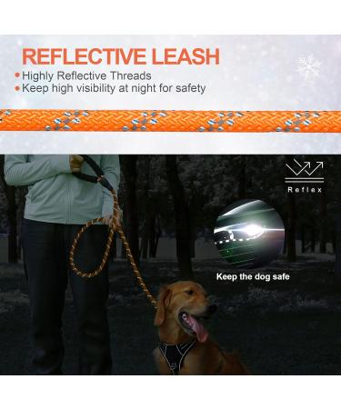 Iokheira 5m Dog Training Line - Durable Leash for All Dog Sizes | 360 Carabiner Reflective Orange - Buy Online on GoSupps.com