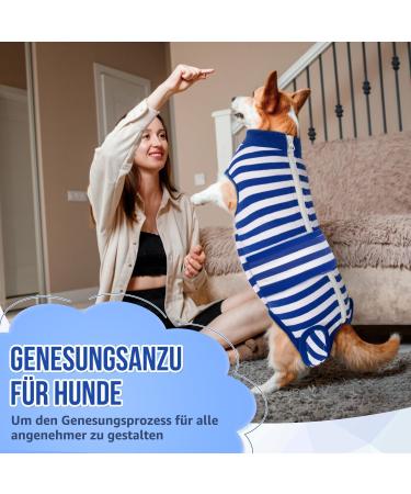 Eyein Dogebody After Op - Breathable Soft One-Piece for Dogs | Wound Protection Zip & Belt | E-Neck Band Alternative (Blue XS) - Buy Online on GoSupps.com