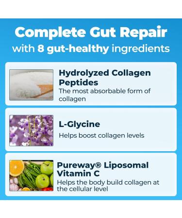 Happy Mammoth Complete Gut Repair Probiotic Prebiotic Fiber & Collagen Supplement for Gut Health Digestion Healthy Gut Microbiome Reduces Constipation & Bloating 24 Servings Vanilla Flavor - Buy Online on GoSupps.com