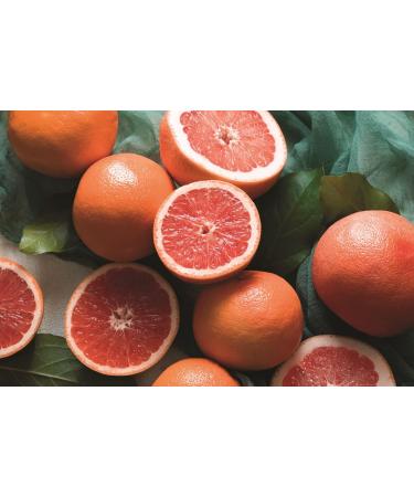 Revitalizing Grapefruit Sunrise Shower Gel with Aloe Vera - Vegan Dermatologically Tested 250 ml | International Shipping - Buy Online on GoSupps.com