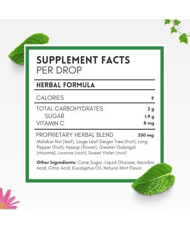 Herbion Naturals Cough Drops - Natural Mint Flavor - Soothes Sore Throat & Dry Mouth - 6 Packs (108 Lozenges) for Adults & Kids 6+ - International Shipping Available - Buy Online on GoSupps.com