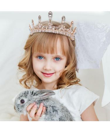 Pink Tiara - Vintage Rhinestone Crown for Women & Girls - Prom Queen, Birthday, Pageant, Quinceanera - Renaissance Costume - Gold - Buy Online on GoSupps.com