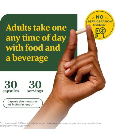 MegaFood Digestive Probiotic - 12 Strain Vegetarian Probiotics for Women & Men, 30 Billion CFUs, Support Gut Health, Probiotics for Digestive Health Help Relieve Occasional Gas & Bloating, 30 Capsules - Buy Online on GoSupps.com