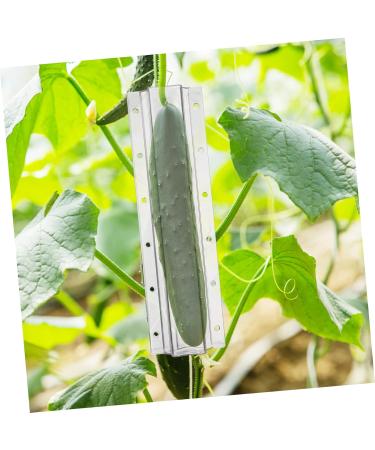 Abaodam 8 Pcs Shaped Strawberry Tool Fruit Molds Heart Fruit Shaping Chocolate Accessories - Buy Online on GoSupps.com