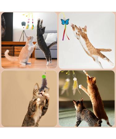 Interactive Door Hanging Cat Toy Assortment - 13PCS Set for Indoor Play | Feather Teaser, Chase & Exercise | Kitten Toys - Buy Online on GoSupps.com