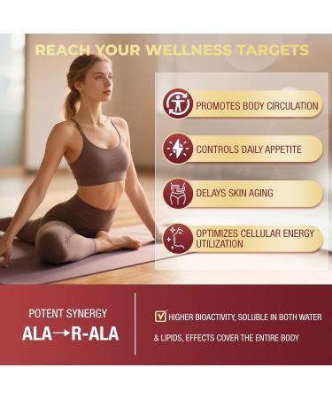 ZEBORA Dihydroberberine 1250mg Berberine Supplement with Ceylon Cinnamon Bitter Melon R-ALA 5X Potency & Bioavailability - Supports Immune Digestion & Heart Health Non-GMO 120 Capsules 1 Count (Pack of 120) - Buy Online on GoSupps.com