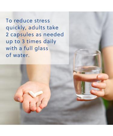 Quick Calm Mood Support Supplement with Ashwagandha L-Theanine Rapid Stress Relief and Relaxation Cortisol Supplement - 60 ct 60 Count (Pack of 1) - Buy Online on GoSupps.com