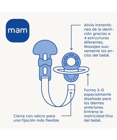 MAM Bei ring for 2+ Months - Immediate Teething Relief Extra Light & Easy to Hold Includes Buckle Easy to Clean - Shop Now! - Buy Online on GoSupps.com
