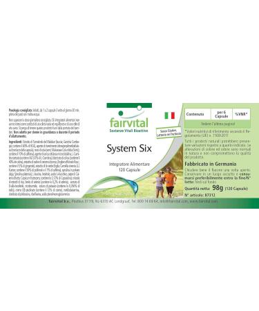 Buy Fairvital System Six Vegan Capsules - 120 Count | Chromium & Garcinia Cambogia for Weight Management - International Shipping Available - Buy Online on GoSupps.com