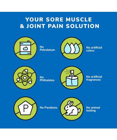 Earth's Care Triple Action Pain Relieving Ointment - Paraben-Free Fragrance-Free Allergy-Tested - 2.5 OZ (2 Jars) | International Shipping Available - Buy Online on GoSupps.com