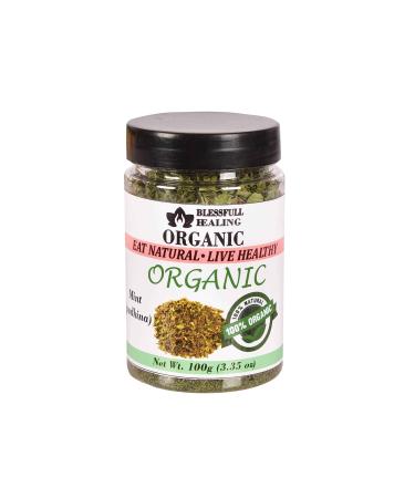 Blessfull Healing Organic Mint (Pudhina) 100 Gram Airtight Container (Packing May Vary) 100 Gram 3.35 oz