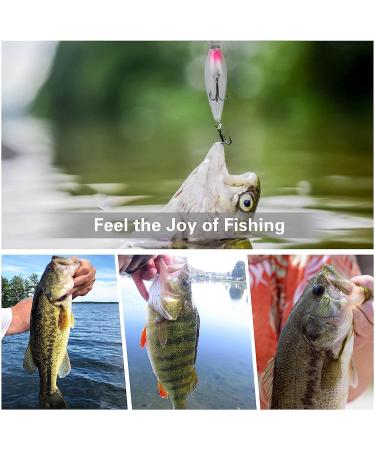 ZWMING Bass Crankbait Fishing Lures Set - 14pcs 3D Eyes Swimbait for Freshwater & Saltwater Fishing - Buy Online on GoSupps.com