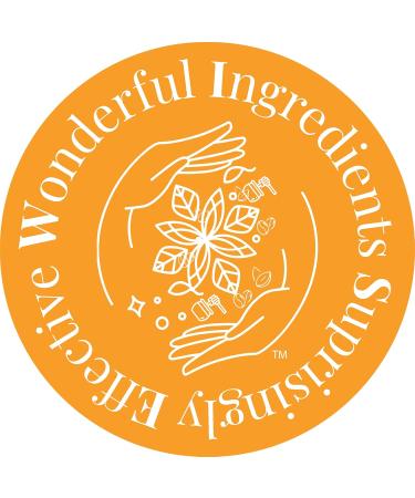 The Source Matters O'MEGA Wise - 820mg High-Concentration Omega-3 Fish Oil with EPA DHA DPA for Cardiovascular Brain Joint and Eye Health (60 Softgel Capsules) - Buy Online on GoSupps.com