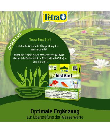 Tetra Pond Medifin 3L - Advanced Medication for Pond Fish Disease Prevention & Disinfection | International Shipping - Buy Online on GoSupps.com