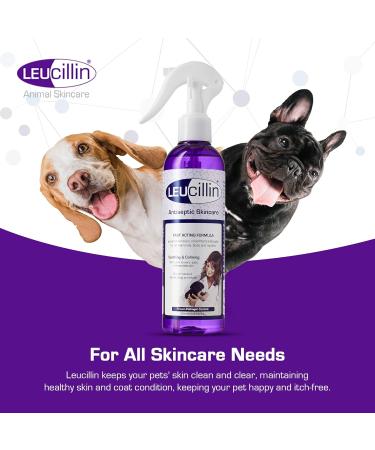 Leucillen 500ml. Hypochlorous First Aid Spray. Horse or Pet Use - Buy Online on GoSupps.com