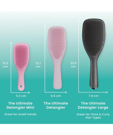 Tangle Teezer Ultimate Detangler Hairbrush - Gentle Flexible Wet/Dry Use Sensitive Scalp Travel-Friendly Morello Cherry & Violet - Buy Online on GoSupps.com