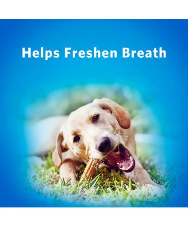 Purina DentaLife Large Breed Dog Chew Treats - 18 Oral Care Treats - Buy Online on GoSupps.com