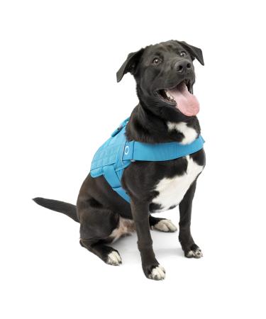 Kurgo RSG Townie Dog Harness Easy to Put on and Take Off Adjustable Chest and Belly Straps Size L Blue Townie Blue L