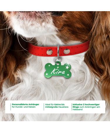 Ibera Gifts - Personalized Bone-Shaped Pendants for Small to Medium Dogs & Cats | Custom Engraved Collars (Green Stars) - Buy Online on GoSupps.com