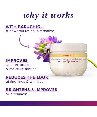 Burt's Bees Face Cream Renewal Anti-Wrinkle Moisturizing Face Cream Holiday Gift with Bakuchiol Natural Retinol Alternative 51 g - Buy Online on GoSupps.com