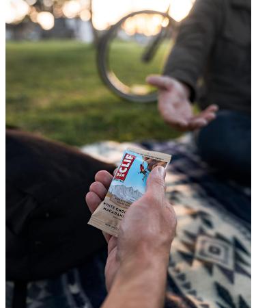 Clif Bar Box of 12 Chocolate Chip Energy Bars - Buy Online on GoSupps.com