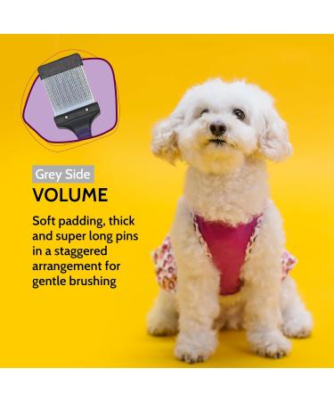 Groomers World - Firm Flexi Slicker Brush - Suitable for Poodle Doodle Bichon Dog Breeds - Small - Buy Online on GoSupps.com