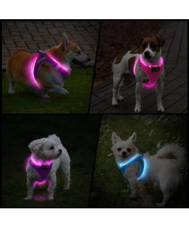 Buy PCEOTLLAR LED Dog Harness - Reflective & Breathable Light Dish for Small & Medium Dogs - Purple - International Shipping Available - Buy Online on GoSupps.com