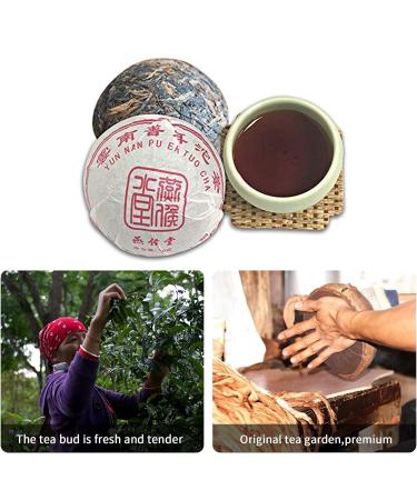 Yan Hou Tang 10-Year-Old Yunnan Puerh Tea | 100g Tuo Cha | Detox & Weight Loss | US FDA SGS Verified | Perfect Chinese Tea Gift - Buy Online on GoSupps.com