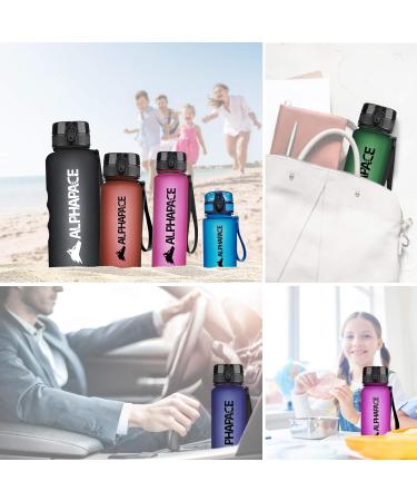 Alphapace 350ml BPA-Free Sports Bottle | Outlet-Safe Water Bottle for Outdoor & Bicycle Activities | Black with Fruit Insert - Buy Online on GoSupps.com