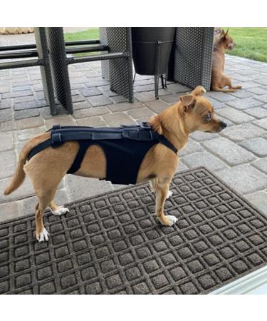 Luckxing Breathable Dog Back Brace - Helps Dogs with Spinal Problems Rehabilitation | Back Support Rehabilitation Easy to Wear and Off Black - Buy Online on GoSupps.com