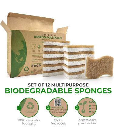 AIRNEX Biodegradable Natural Kitchen Sponge - Pack of 12 Eco Friendly Compostable Sponges for Dishes - Buy Online on GoSupps.com