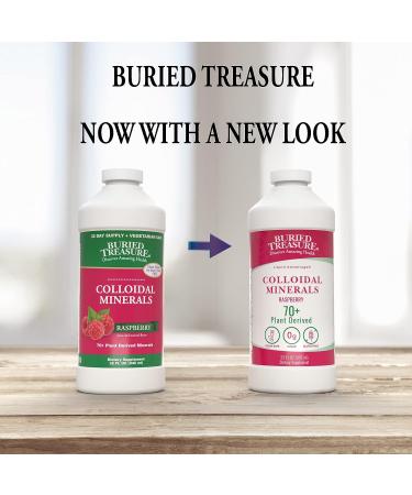 Buried Treasure Colloidal Mineral Complex - 32oz Natural Raspberry Flavor | Non-GMO | Vegetarian Safe | Daily Essential Minerals - Buy Online on GoSupps.com