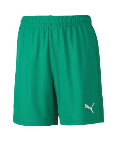 PUMA Boys teamGOAL 23 knit Shorts jr Shorts 140 Pepper Green
