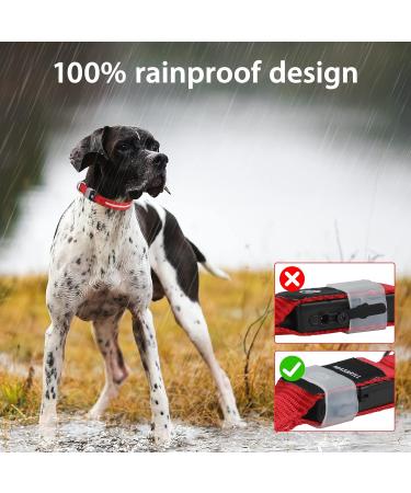 Buy Masbrill LED Dog Collar Light - Waterproof Adjustable & Bright Safety Light for Small to Large Dogs (Red 28-40cm) - Buy Online on GoSupps.com