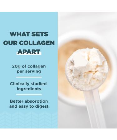 Ancient Nutrition Collagen Peptides Collagen Peptides Powder Vanilla Hydrolyzed Collagen Supports Healthy Skin Joints Gut Keto and Paleo Friendly 12 Servings 20g Collagen per Serving Vanilla 8.51 Ounce (Pack of 1) - Buy Online on GoSupps.com