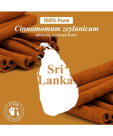 Handcraft Blends Zest & Spice Set: Lemon and Cinnamon Essential Oils (2 x 4 Fl Oz) 100% Pure & Natural for Diffuser Aromatherapy and DIY Projects - Buy Online on GoSupps.com