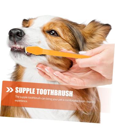 Angoily 20 pcs Brush Pet Portable Cat Teeth Puppy Nylon Small Tooth Handheld Dual-head for Oral Supplies 1 count (Pack of 1) Assorted Colorx2pcs - Buy Online on GoSupps.com