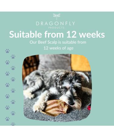 Dragonfly Beef Scalp Dog Chews 250g | Grain-Free & Long Lasting | Non-Rawhide Alternative | Natural Raw Treat Stick for Medium to Large Breeds - Buy Online on GoSupps.com