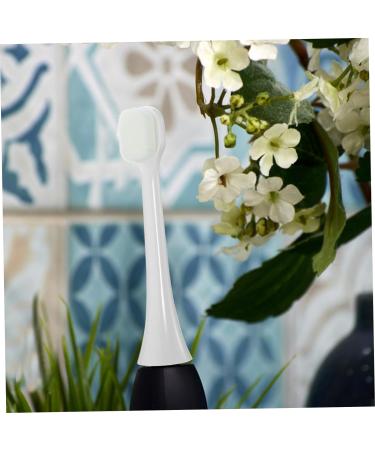 Hoement 5pcs Thousand-Hair Toothbrush Head Electric Toothbrush Part Durable Toothbrush Replacements Reusable Toothbrush Heads Electric Toothbrush Heads Toothbrush Fittings Toothbrush Parts - Buy Online on GoSupps.com