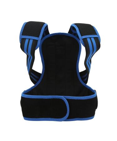 Posture Corrector Back Straightener Belt Support Elastic Comfortable Brace for Men Women (Blue) L Blue - Buy Online on GoSupps.com